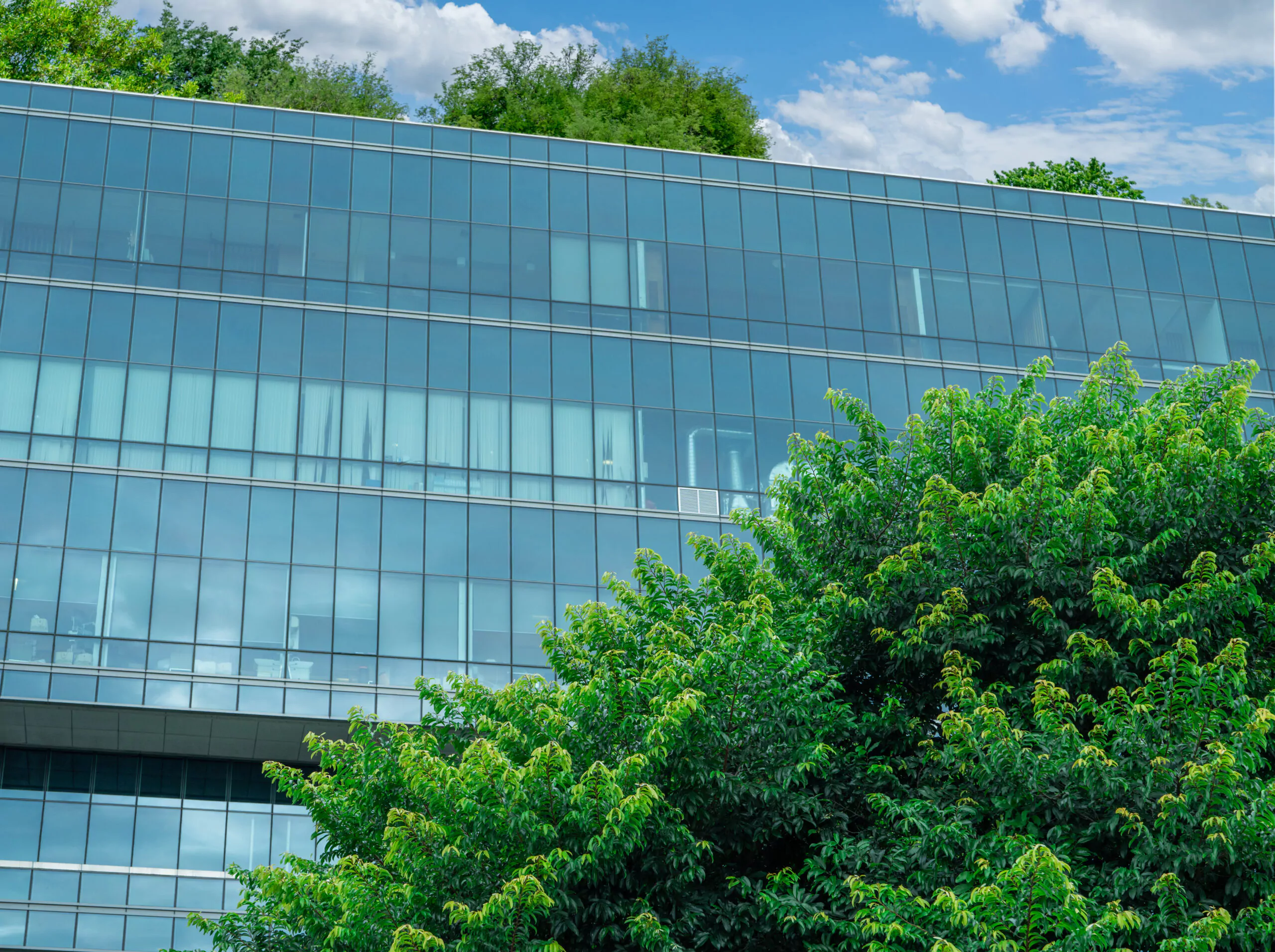 Sustainable Green Building